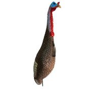 FLEXTONE APPELANT À DINDON FUNKY CHICKEN image 0