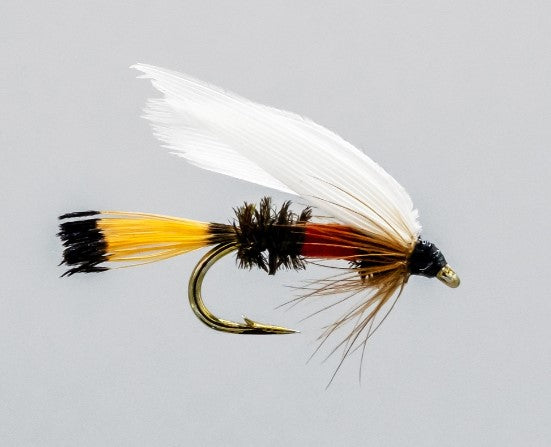 NEPTUNE MOUCHE NOYÉE ROYAL COACHMAN image 0