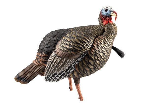 APPELANT AVIANX JAKE HDR image 0