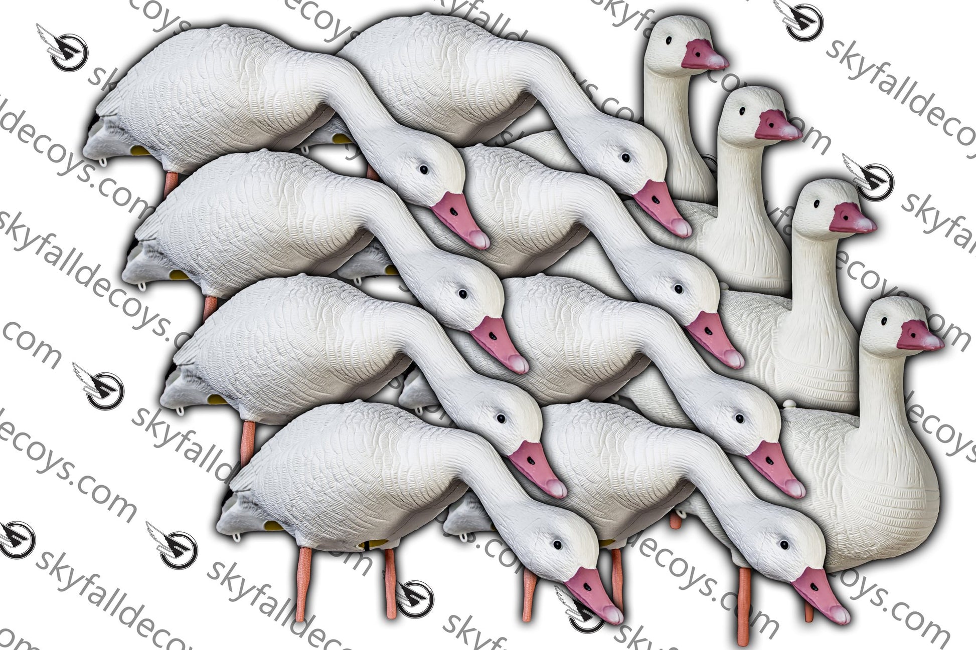 APPELANT OIE BLANCHE 12/BTE SKY FALL DECOYS image 0