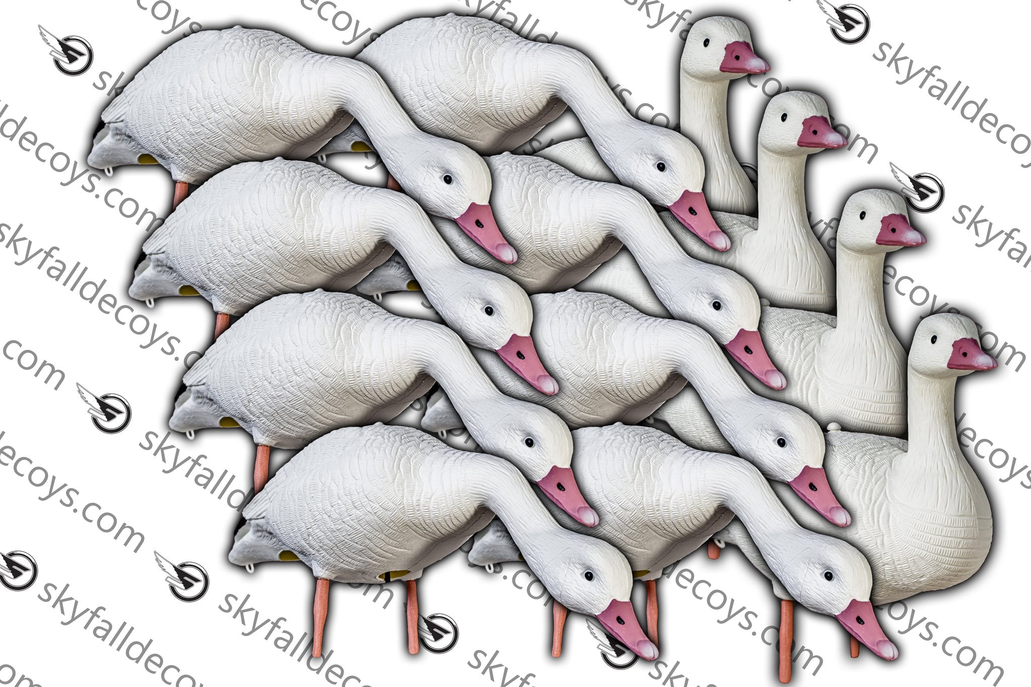 APPELANT OIE BLANCHE 12/BTE SKY FALL DECOYS image 0