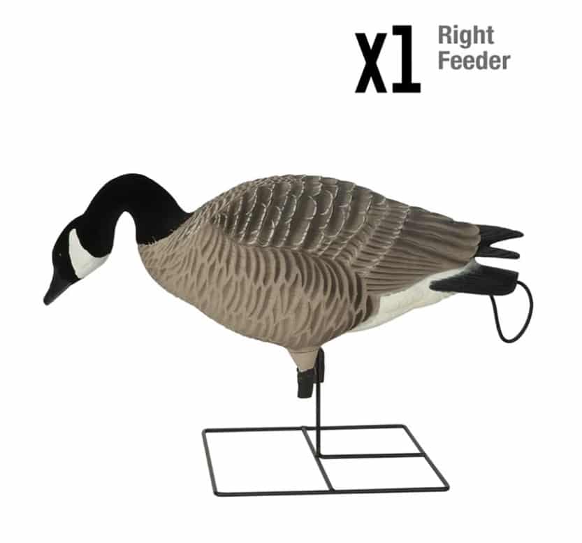 GHG DECOYS PRO GRADE X-D SERIES APPELANTS BERNACHES SUR PIED image 4