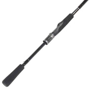 DAIWA CANNE LANCER LÉGER TATULA XT GLASS 2 PIÈCES image 0