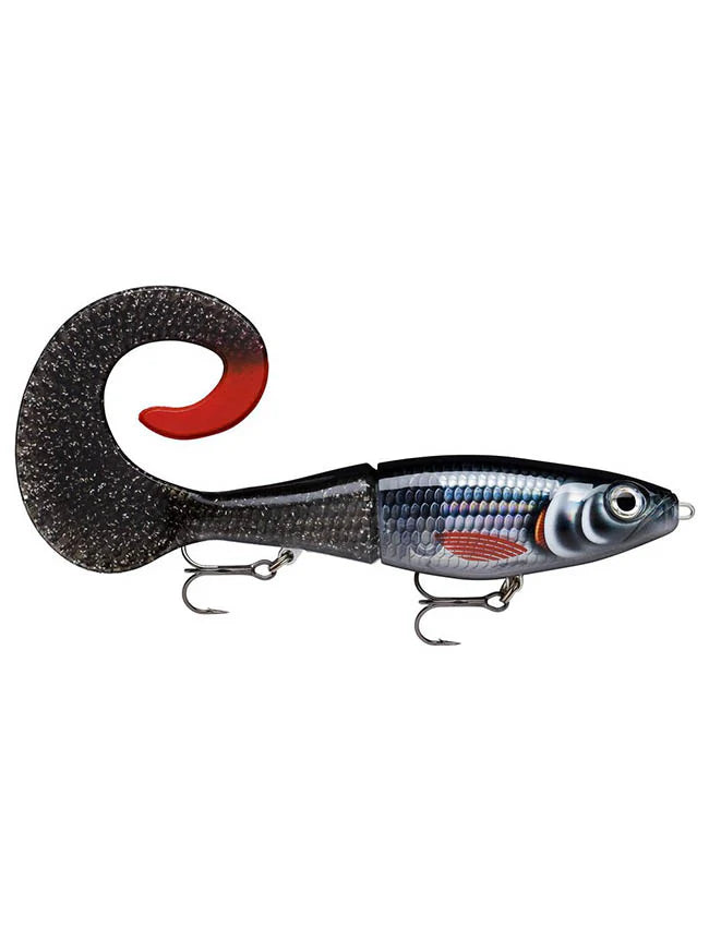 RAPALA X-RAP OTUS 25 - ROBOT ROACH image