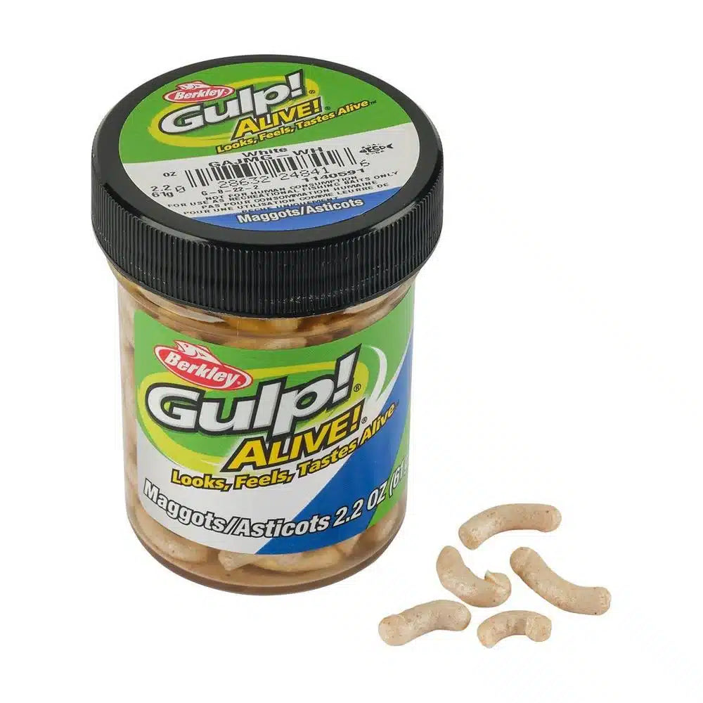 GULP ALIVE MAGGOTS - WHITE image