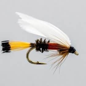 NEPTUNE MOUCHE NOYÉE ROYAL COACHMAN - NUMERO 8 image