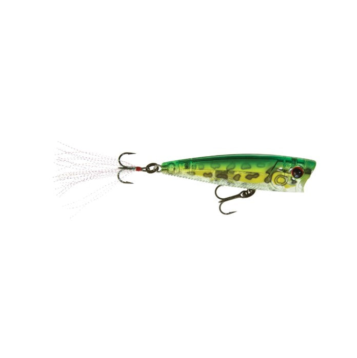 YO-ZURI 3DB POPPER 3'' - PRISM FROG image