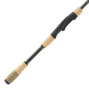 FENWICK EAGLE BASS CANNE LANCER LEGER 2 PIÈCES7 image 0