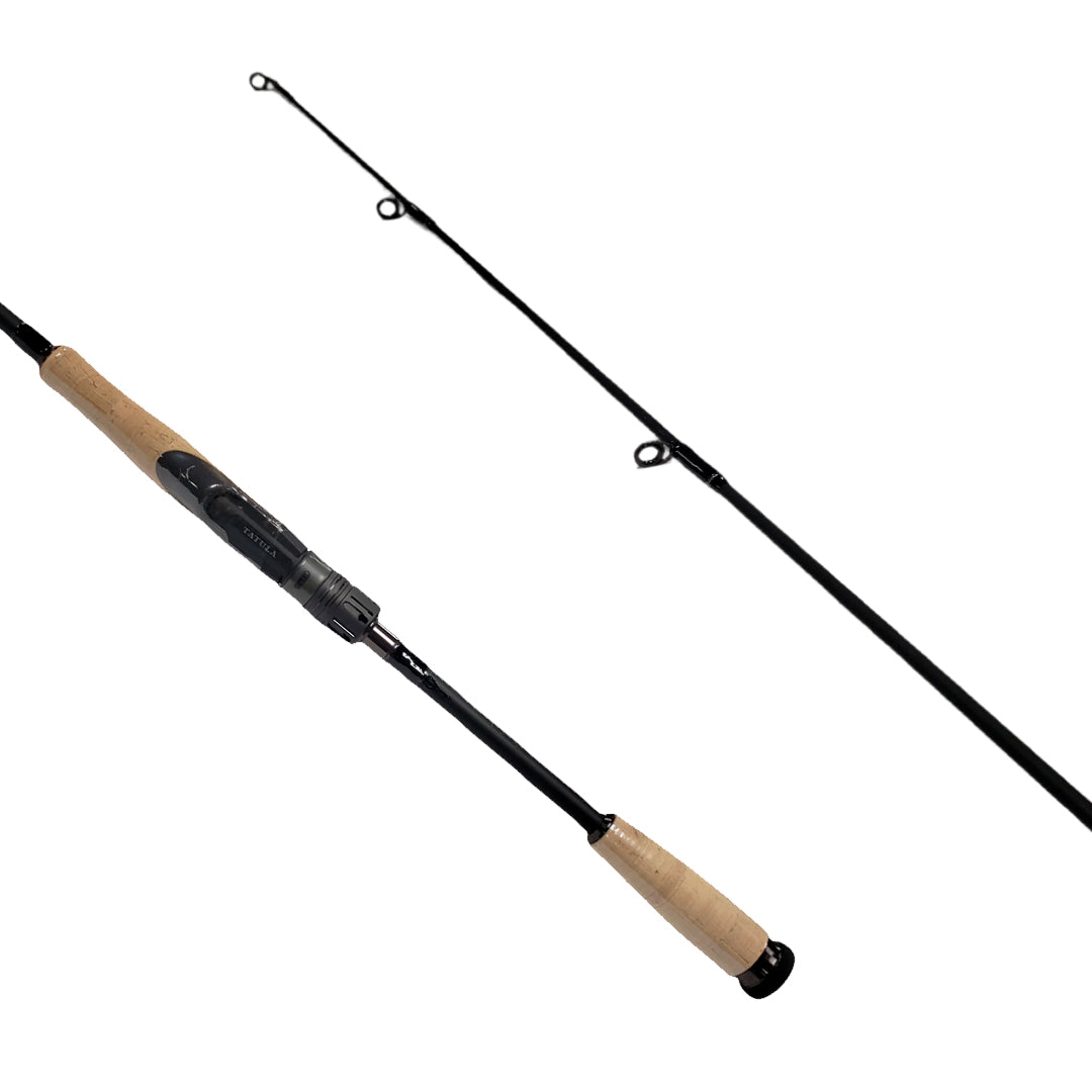 DAIWA CANNE LANCER LÉGER TATULA CORK 2 PIÈCES image 0