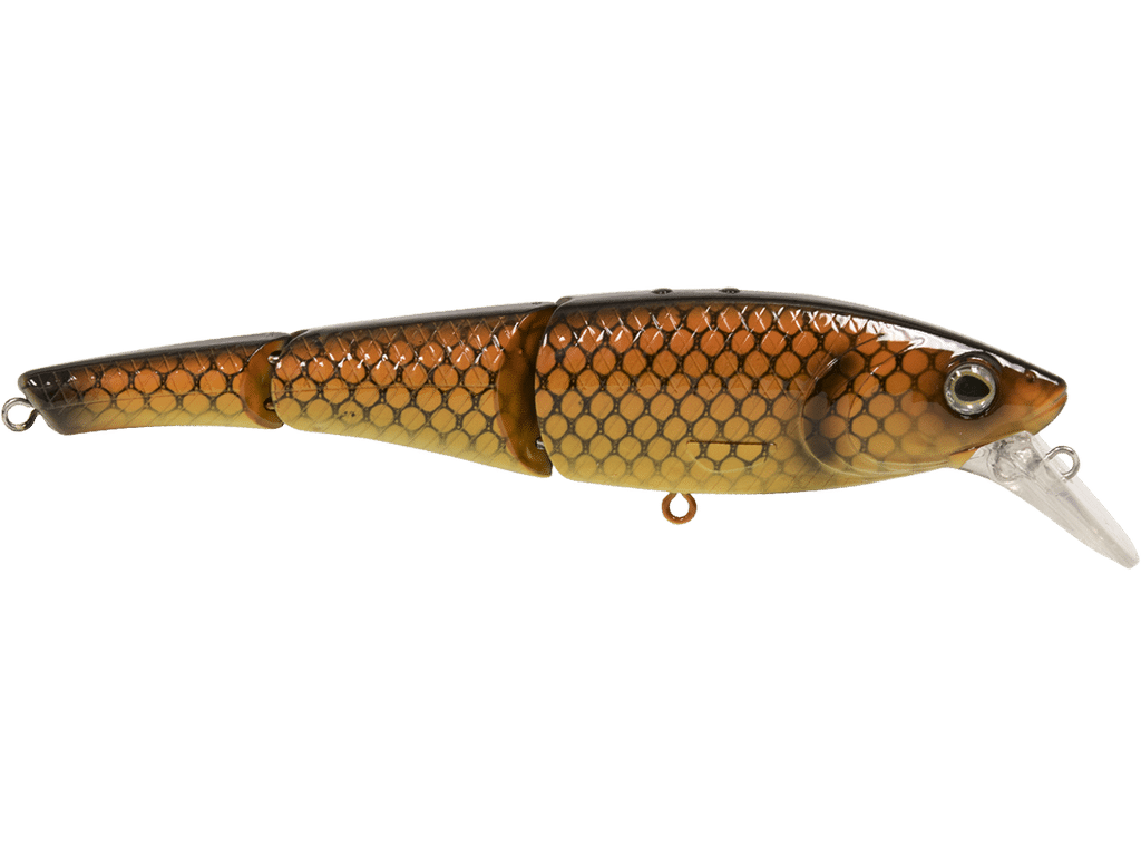 LIVINGSTON LEURRE HEAD HUNTER 8 - CARP/SUCKERFISH image