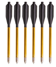 FLÈCHES DE MINI ARBALÈTE BEAR X DESIRE PAQUET DE 12 image 0