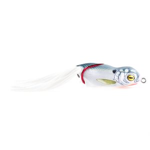 SCUM FROG LAUNCH FROG - SHAD image