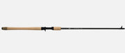 FENWICK EAGLE SALMON / STEELHEAD CANNE LANCER LOURD 2 PIÈCES image 0