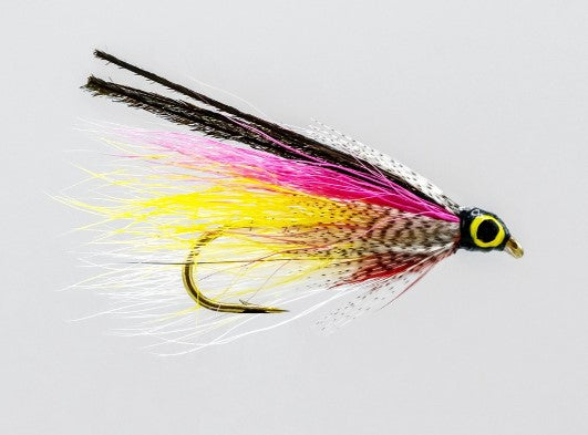 NEPTUNE MOUCHE STREAMER RAINBOW SMELT image 0