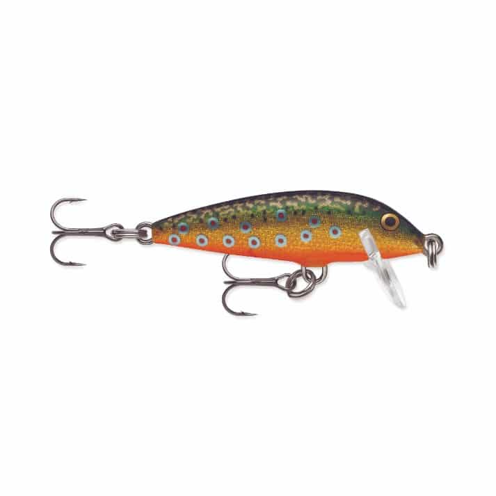 RAPALA COUNTDOWN 3 CM - BROOK TROUT image