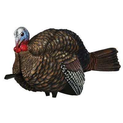 AVIAN-X APPELANT HALF-STRUT JAKE image 0