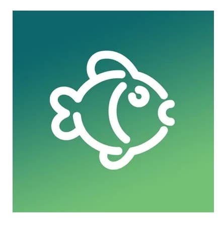 PERMIS DE PÊCHE SPORTIVE SAUMON NON-RESIDENT REMISE À L'EAU image 0