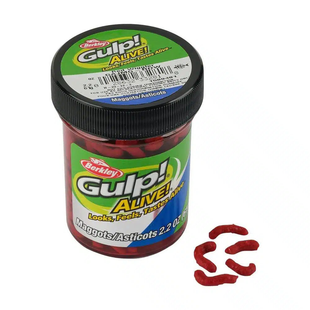 GULP ALIVE MAGGOTS - RED WIGGLER image