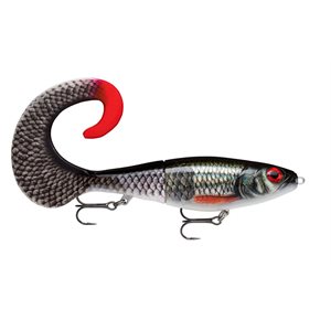 RAPALA X-RAP OTUS 25 - LIVE ROACH image