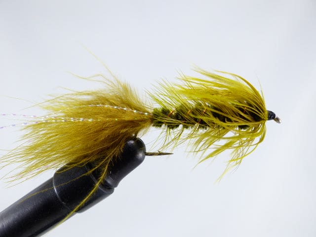 MOUCHE ETIC WOOLY BUGGER - OLIVE, NUMERO 8 image