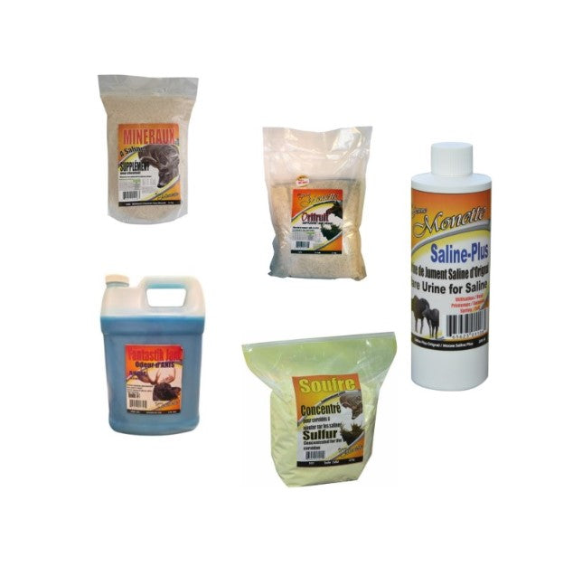 FERME MONETTE ENSEMBLE COMPLET SALINE POUR ORIGNAL - ANIS image 1