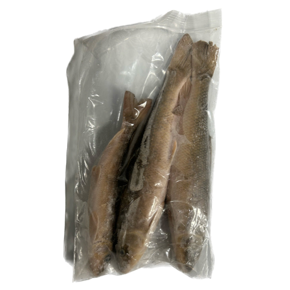 MÉNÉ DE TRÈS GROSSE TAILLE 6"-12" 2-3 / PAQUET image 0