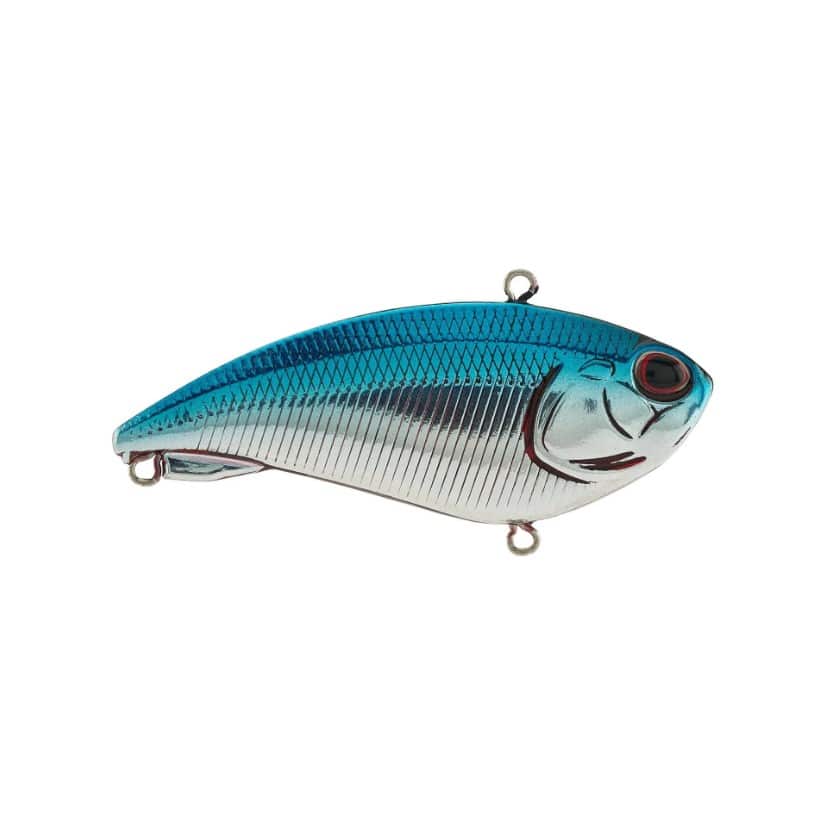 BERKLEY JACK 6 - BLUE CHROME image