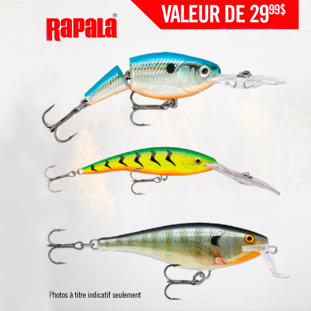 ECOTONE CHANDAIL PRO STAFF - BLEU ROYAL image 1