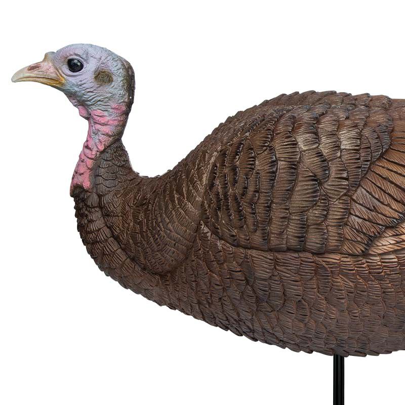 PRIMOS APPELANT À DINDON LIL GOBSTOPPER HEN image 1