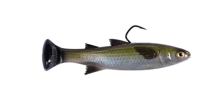 ZMAN MULLETRON LT 4.5" - MOSSBACK image
