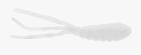 SET THE HOOK SHRIMP MAGGOT 1'' - WHITE image