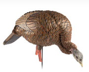 AVIAN X APPELANT A DINDON HDR FEEDER image 0