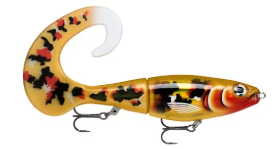 RAPALA X-RAP OTUS 25 - UNREAL KOI image