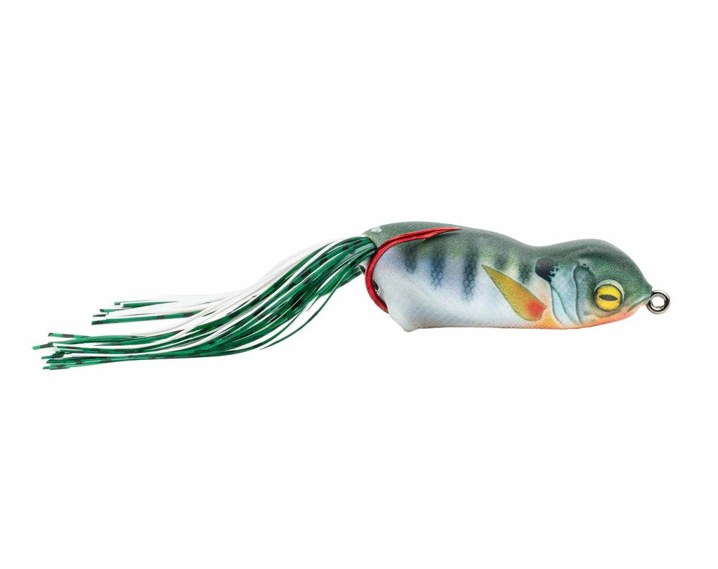 SCUM FROG LAUNCH FROG - HOT GILL image