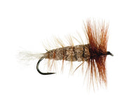 NEPTUNE MOUCHE BOMBER BROWN SALMON image 0