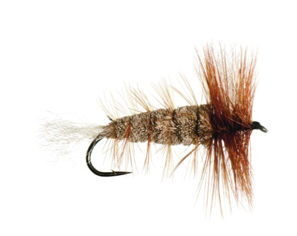 NEPTUNE MOUCHE BOMBER BROWN SALMON image 0