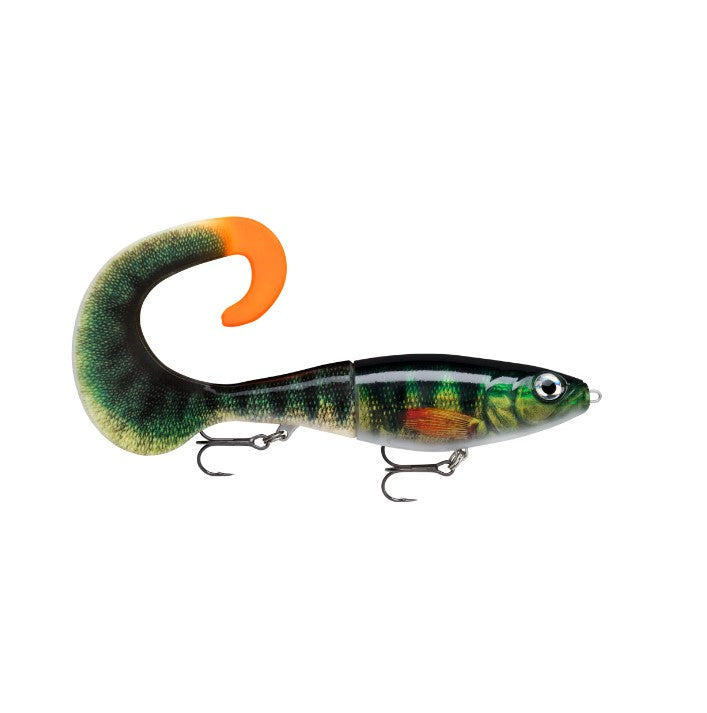 RAPALA X-RAP OTUS 25 - LIVE PERCH image