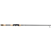 FENWICK EAGLE BASS CANNE LANCER LÉGER 2 PIÈCES