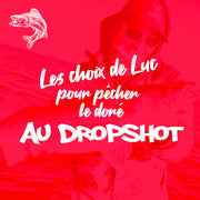 LES CHOIX DE LUC POUR LA PÊCHE AU DORÉ AU DROPSHOT