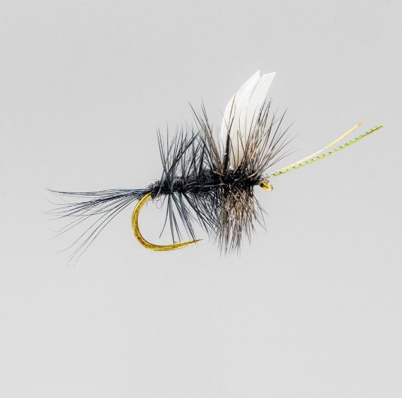 NEPTUNE MOUCHE SÈCHE NS BLACK MAYFLY image 0