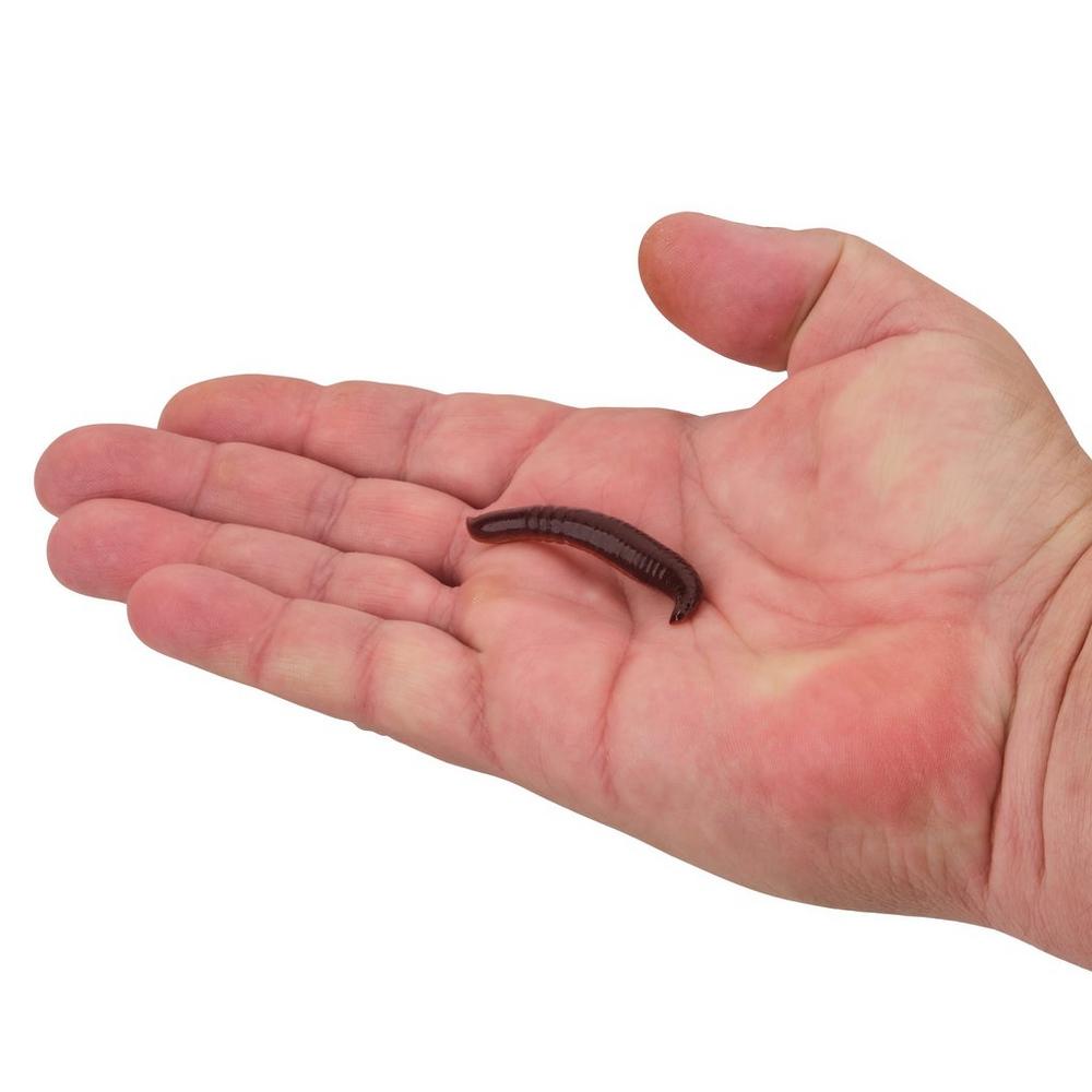 BERKLEY GULP PINCHED CRAWLER ODEUR D'AIL image 3