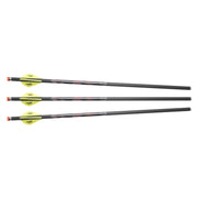 EXCALIBUR FLÈCHES QUILL ILLUMINÉES 16.5” PAQUET DE 3 image 0