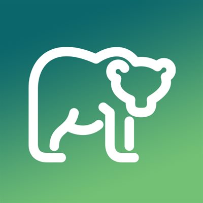 PERMIS D'OURS image 0