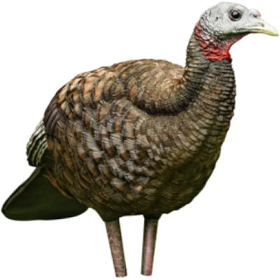 AVIAN-X APPELANT BREEDER HEN image 0