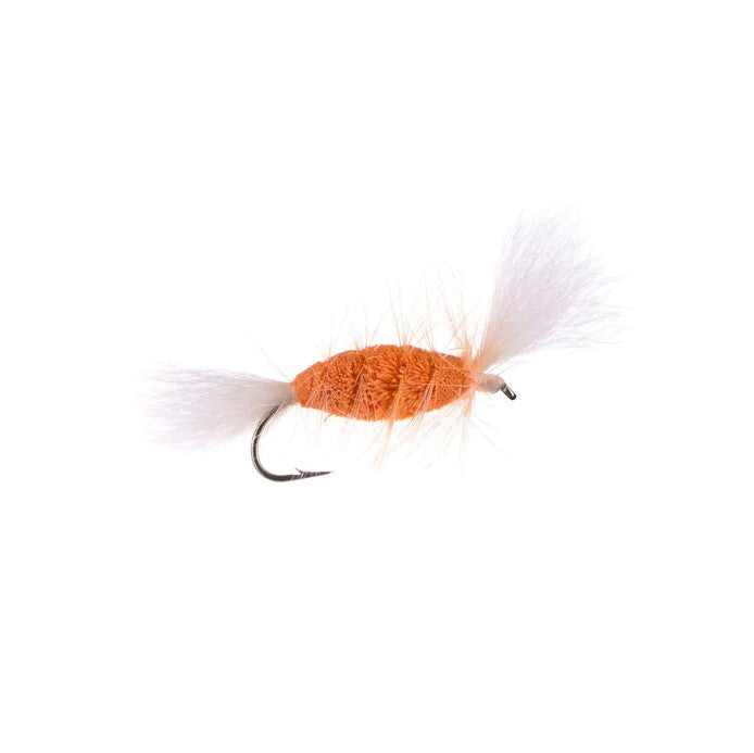 NEPTUNE MOUCHE BOMBER CREVETTE image 0