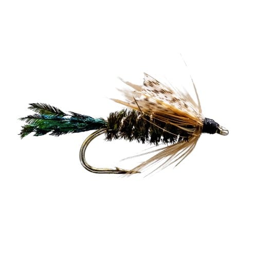 NEPTUNE MOUCHE NYMPHE ZUG BUG - NUMERO 12 image