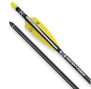 TENPOINT FLÈCHE D'ARBALÈTE EVO-X CENTER PUNCH 20" À L'UNITÉ image 0