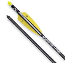 TENPOINT FLÈCHE D'ARBALÈTE EVO-X CENTER PUNCH 20" À L'UNITÉ image 0