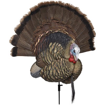 AVIAN-X APPELANT TROPHY TOM image 0