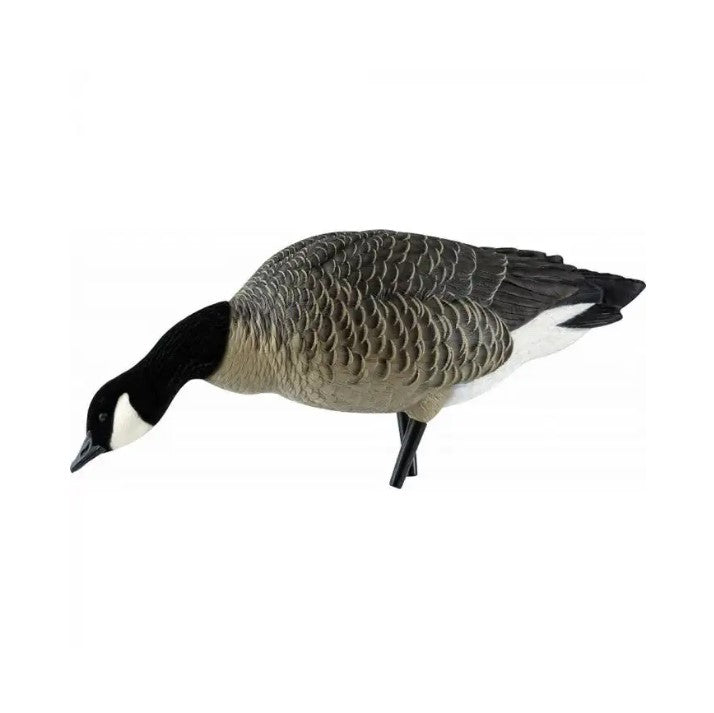 AVIAN-X ENSEMBLE D'APPELANTS BERNACHE SUR PIED QUI SE NOURRIT image 0